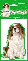 photo of Cavalier King Charles Spaniel Air Freshener